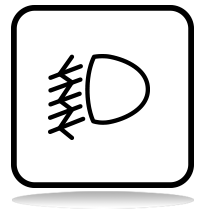 Fog light