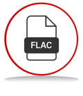FLAC Audio